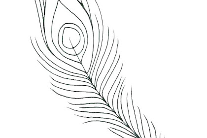 Newest For Simple Peacock Feather Drawing Outline