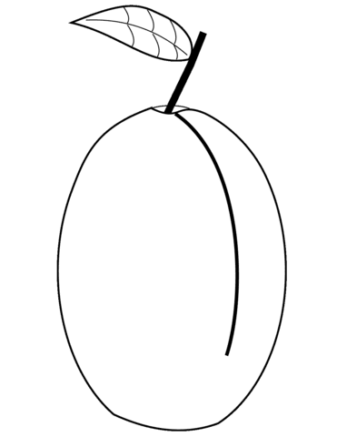 288 x 300 file type: Plum Coloring Page Free Printable Coloring Pages