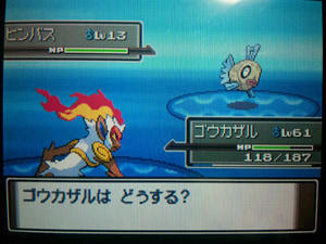 ポケモン プラチナ ヒンバス 釣れる ポイント Limohongsip