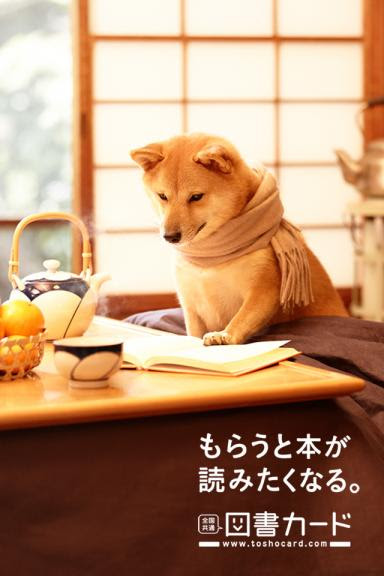 ベスト図書 カード 壁紙 最高の花の画像