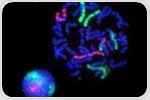 How do Epifluorescence Microscopes Work?