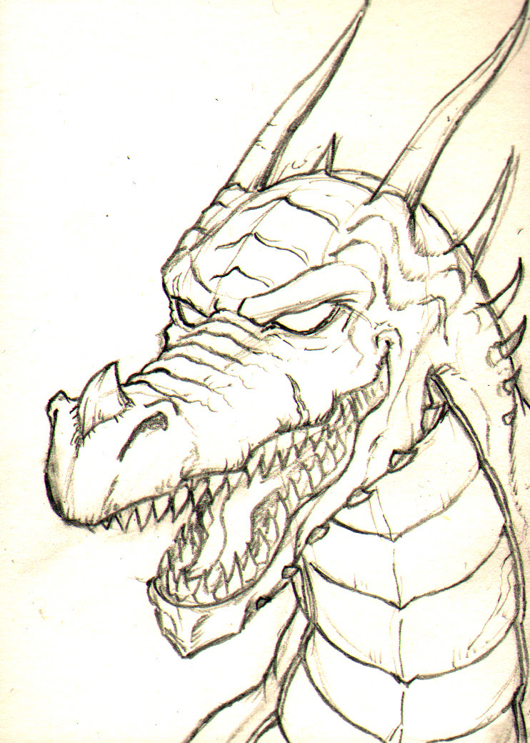 I have always loved dragons, have been reading books about dragons for my children, and i love fantasy most of the dragon clipart here will be saved in png format, which means you can place the dragons drawings on top of other colors, in landscapes. Drawing Pictures Of Dragons At Getdrawings Free Download
