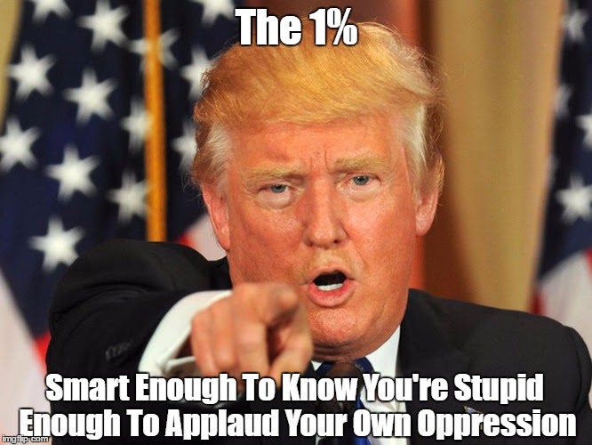 Image result for the 1% stupid enough