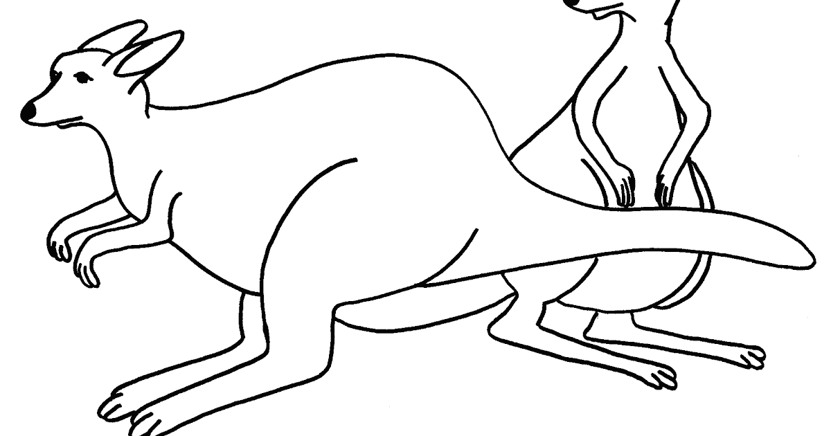 Download Free Printable Kangaroo Coloring Pages For Kids