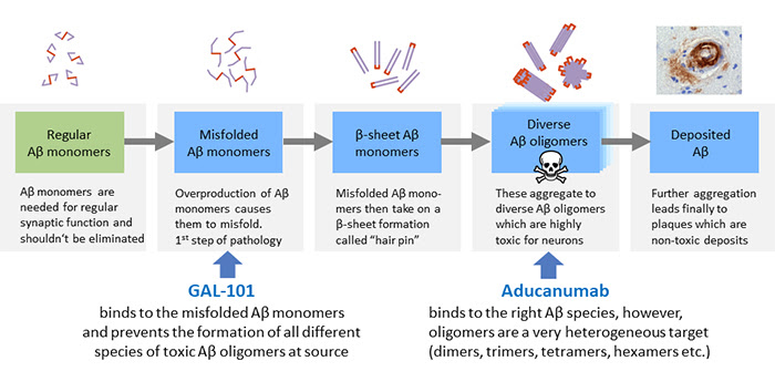 09, 2020 1:09 am et biib 5 comments. Therapeutic Focus The Future Of Treating Alzheimer S Disease Aducanumab Beyond