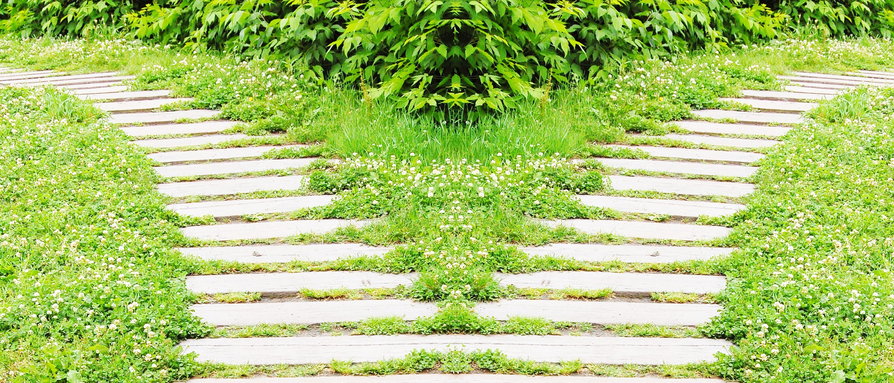 ほとんどのダウンロード 別れ道 画像 最高の画像画像