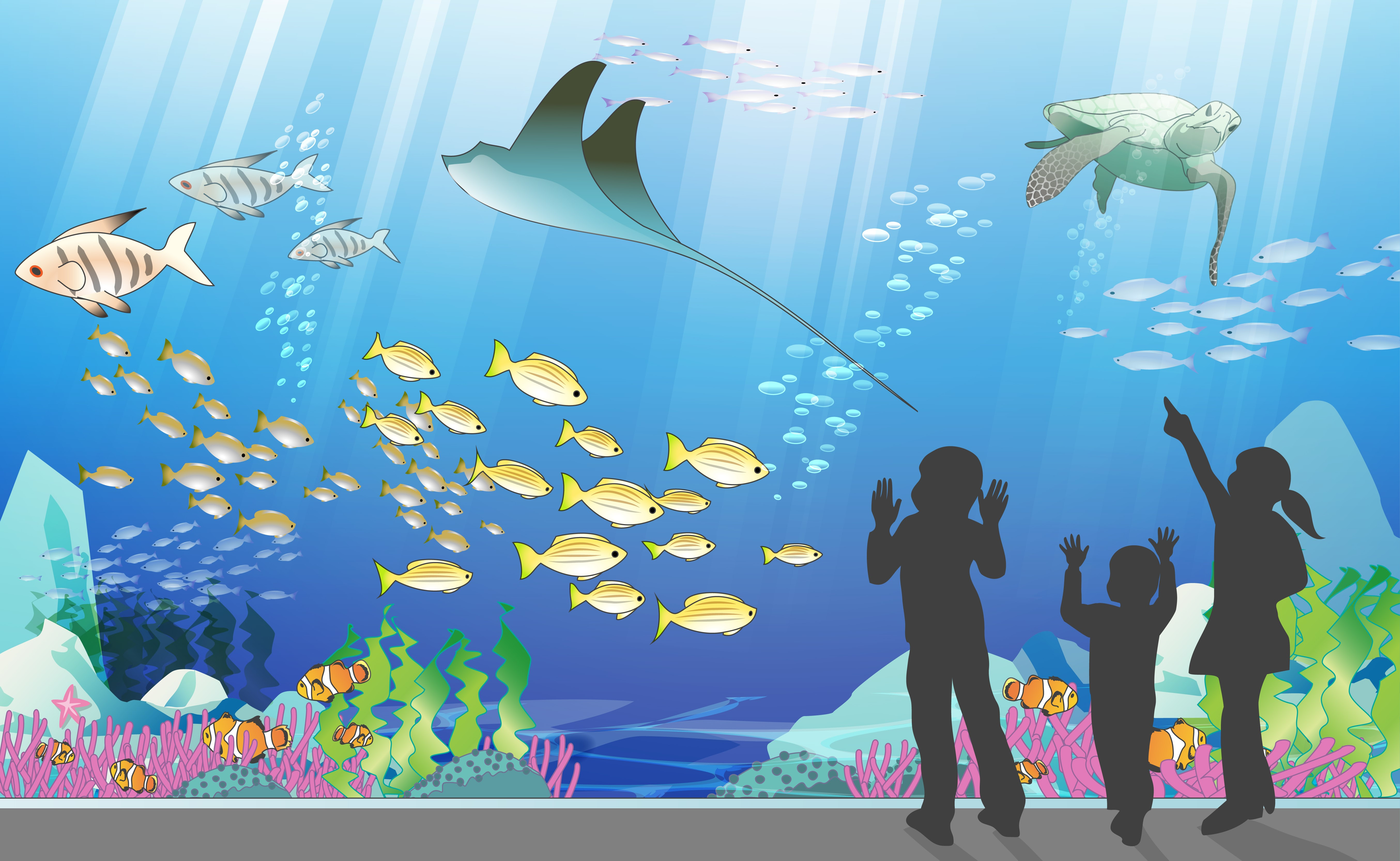 美しい花の画像 上水族館 イラスト 無料