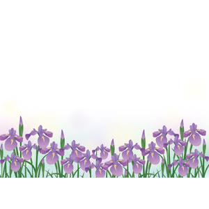 最新 花菖蒲 イラスト フリー Ituirasuto