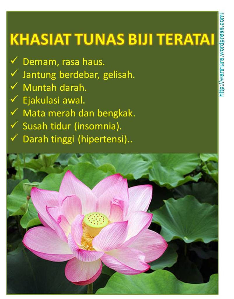 Dunia Masya: Kesihatan