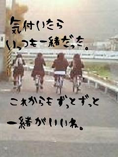 すべての花の画像 50 ポエム 壁紙 中学生