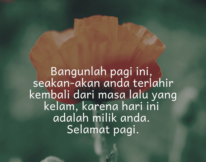 Motivasi Quotes Hari Ini - Ebseil7zrkko6m - Berikut ini adalah daftar