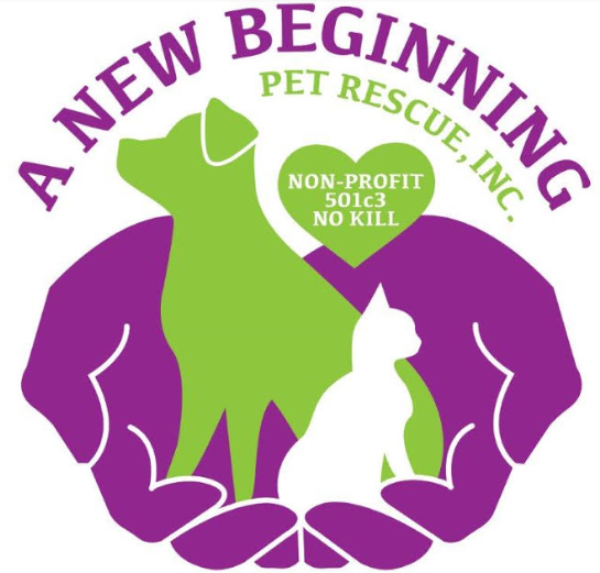 None have been taken from the wild!! Rescue Partners Orange County Animal Services