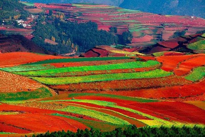 Red Land                                                            China