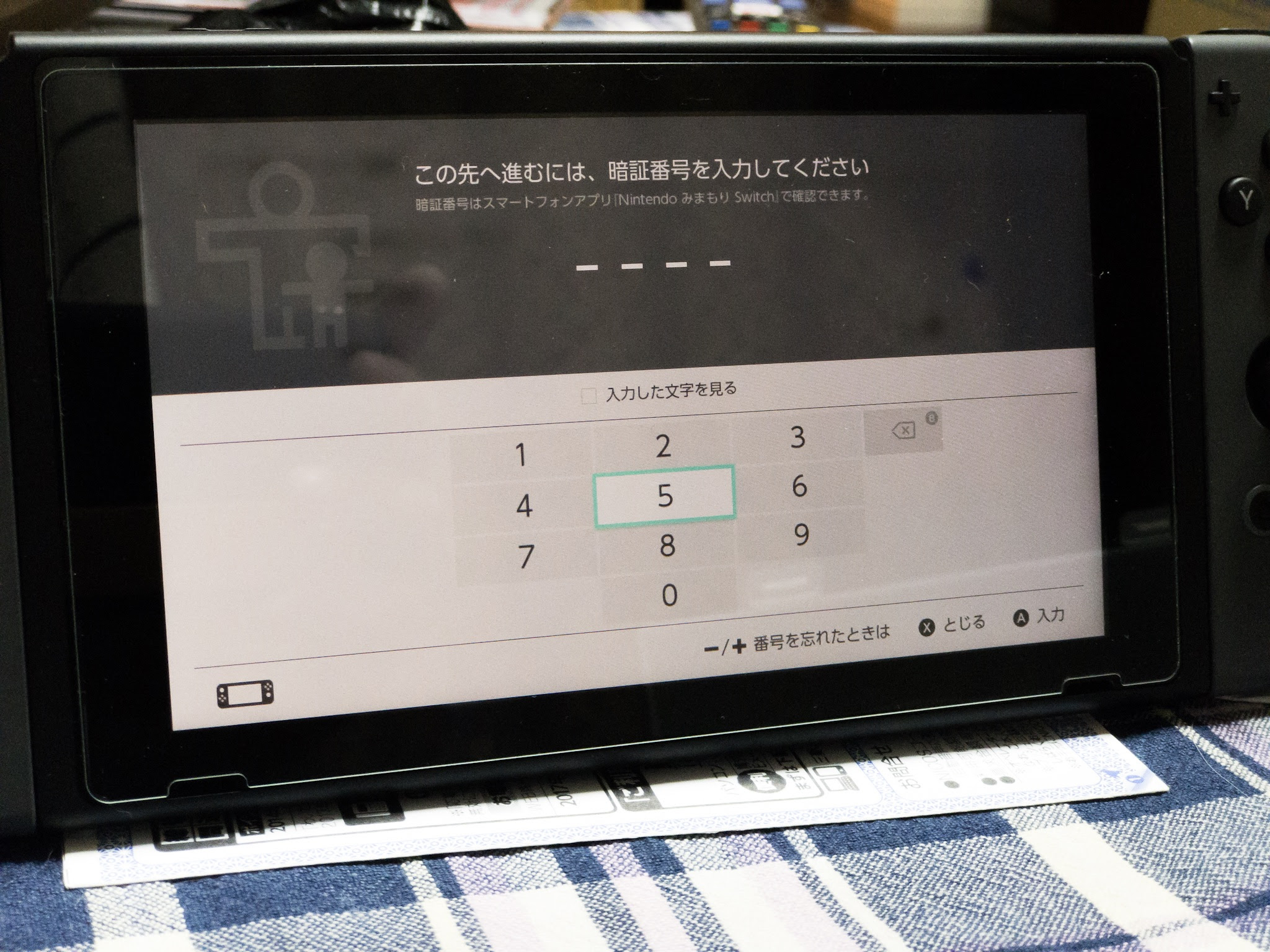 ニンテンドースイッチ パスワードロック イメージポケモンコレクション