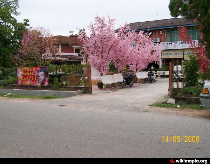 Ubat Buasir Kedai Cina - Contoh Fun