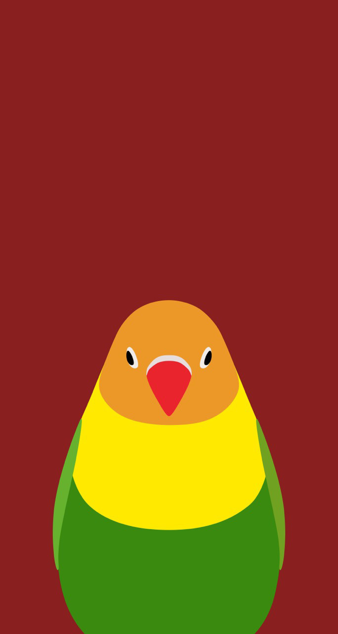 50 インコ 画像 待ち受け かわいい インコ 画像 待ち受け Powerjpgazo