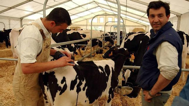 La Junta no tiene veterinarios suficientes para cubrir la zona