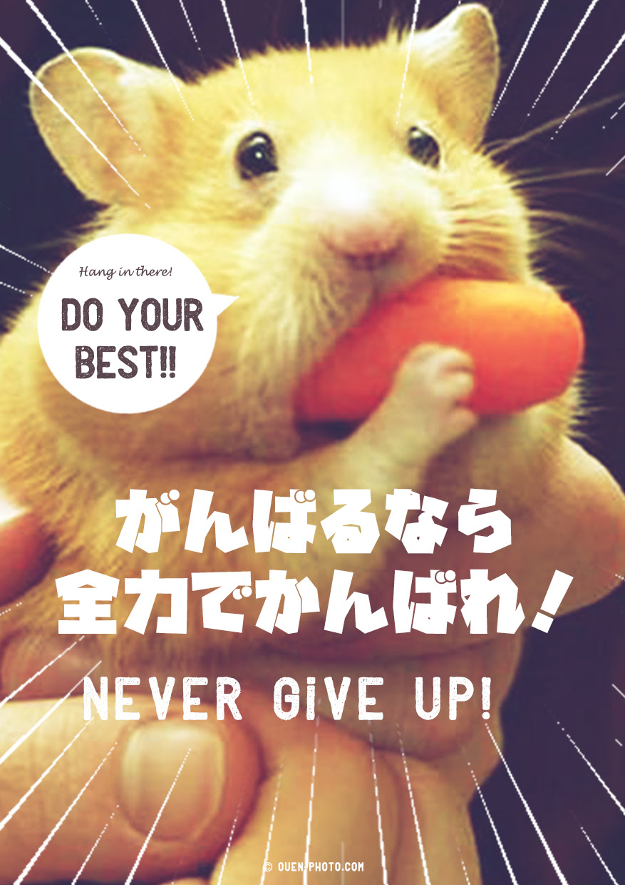 元のおもしろ 笑える 誕生 日 メッセージ 面白い 画像 最高の引用