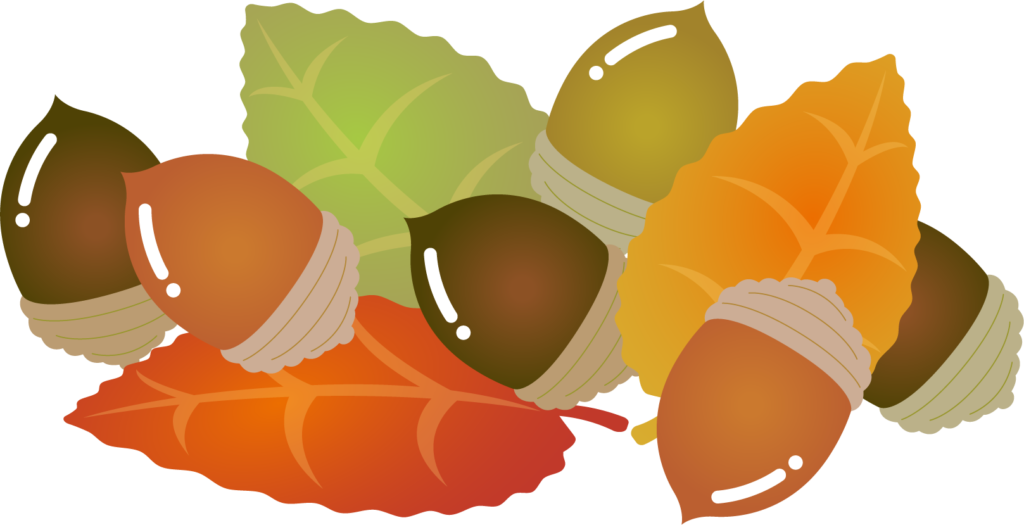 ダウンロード可能 ドングリ イラスト イラスト素材