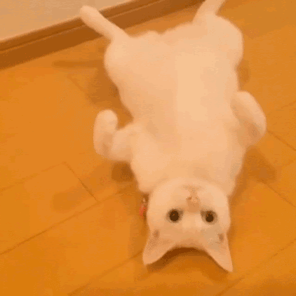 アニメ画像について 50 素晴らしい癒し Gif