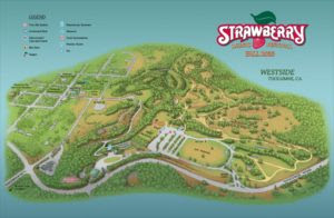 After having their permit denied for camp mather, organizers of the strawberry music festival are moving it out of its longtime tuolumne county home to a new spot in nevada county in the fall. Updated Festival Map Strawberry Music Inc