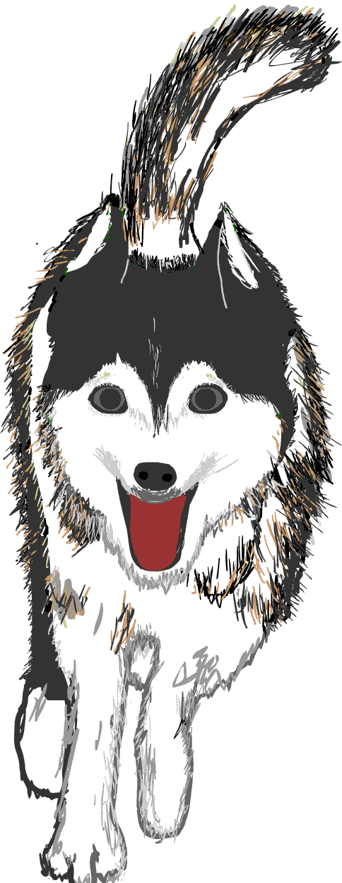 すべての動物の画像 新着ハスキー 犬 イラスト