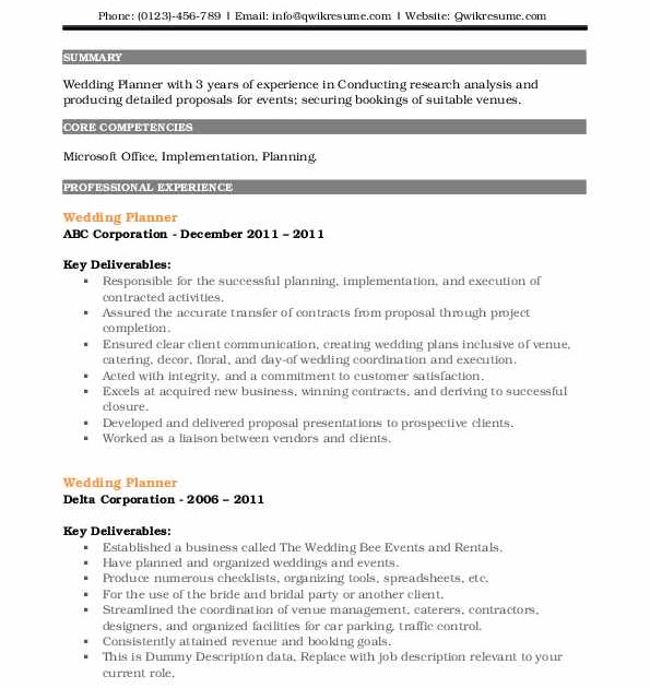 Cv Template For Town Planner : Town Clerk Resume Samples ...