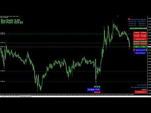 fast forex traders
