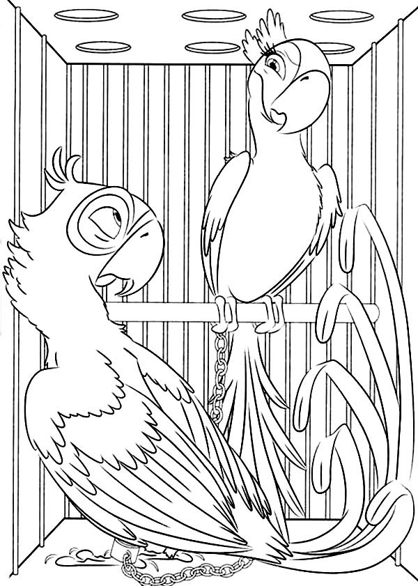 Blu Fall In Love Coloring Pages For Kids Printable Free Rio Cartoon Coloring And Drawing