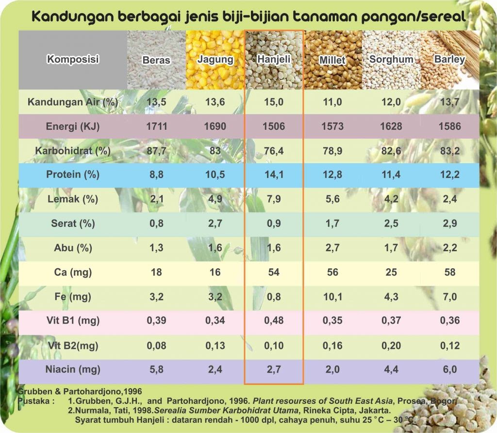 Contoh Inovasi Media Tanam - Gamis Murni