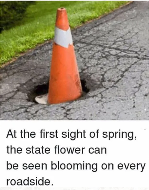 A traffic cone sitting inside a pothole. Meme claims it is the state flower.