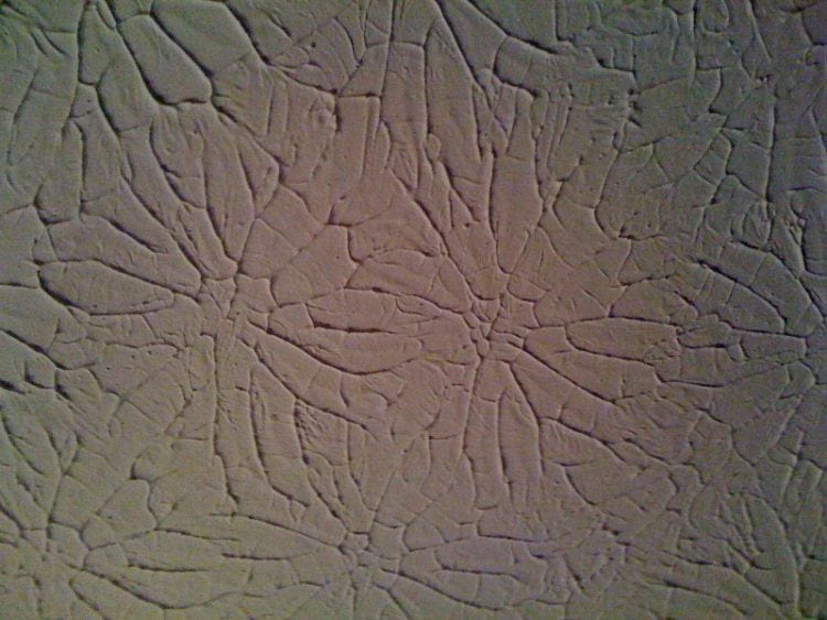 Maybe you would like to learn more about one of these? 10 Different Types Of Wall Textures To Consider