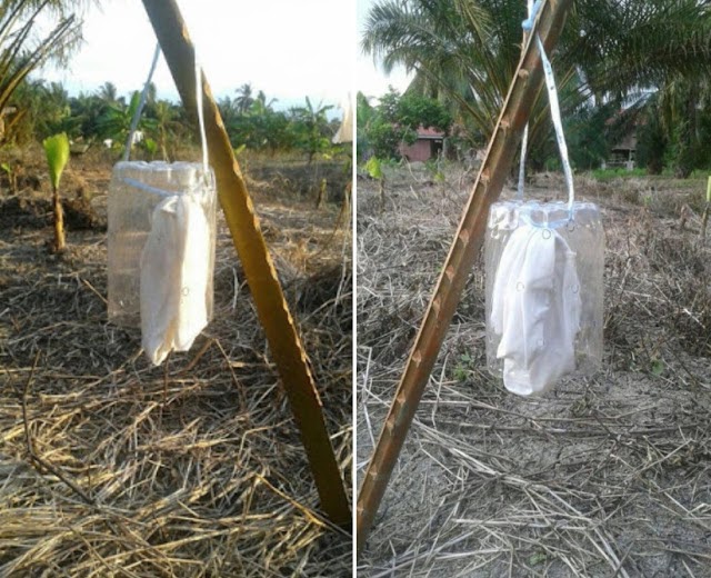 Cara Guna Ubat Nyamuk Elektrik  Benimalx
