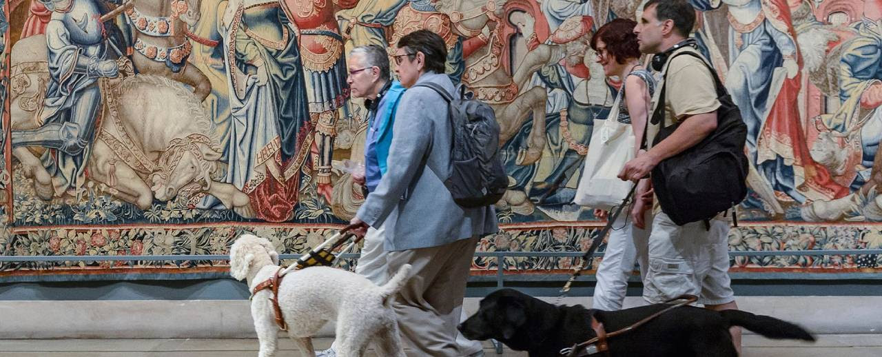 Um grupo percorre o museu com dois cães-guia.