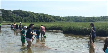 Woods Hole interns