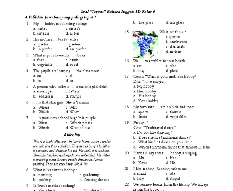 Contoh Soal Bahasa Inggris Kata Kerja Kelas 6 Sd - Bedah Sekolah