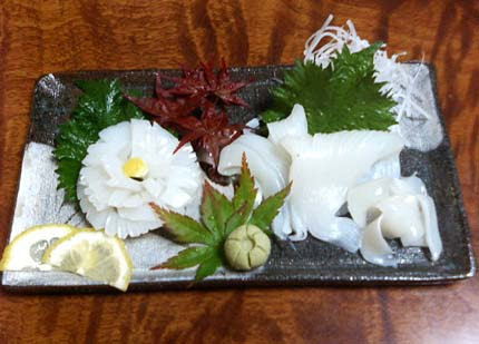 コウイカ 刺身 コウイカ 刺身 まずい