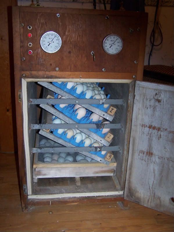 Incubator cabinet plans Guide | Sunny