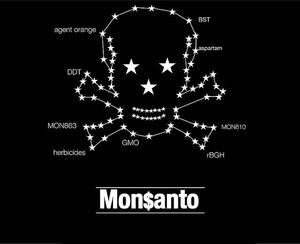 Fuera_Monsanto2.jpg