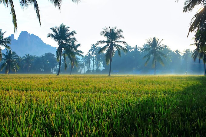 ಕಿರ್ತಿಮೆ