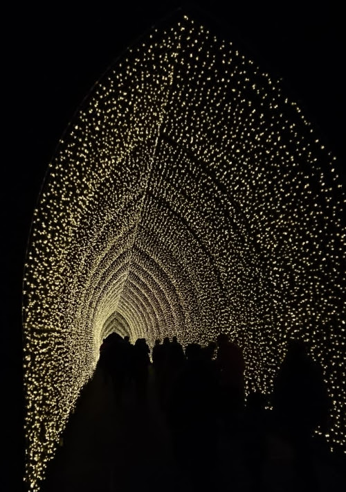 cathedral of light
