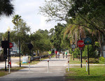 Pinellas Trail by Doug Alderson