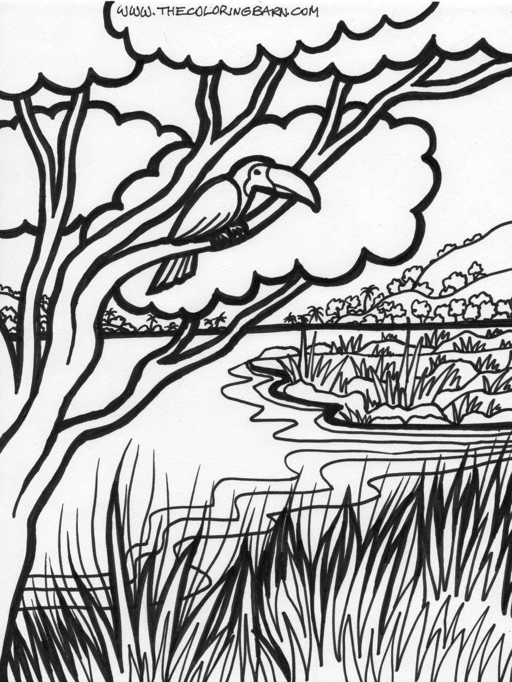 Select from 35919 printable crafts of cartoons, nature, animals, bible and many more. Free Rain Forest Trees Coloring Page Download Free Rain Forest Trees Coloring Page Png Images Free Cliparts On Clipart Library
