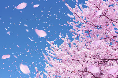 50 素晴らしい春 イラスト 綺麗 かわいいディズニー画像