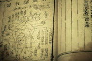 Image: Old medicine book from Qing Dynasty