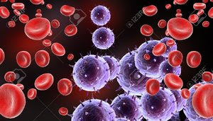 10312615_blood_cells_with_viru.jpg