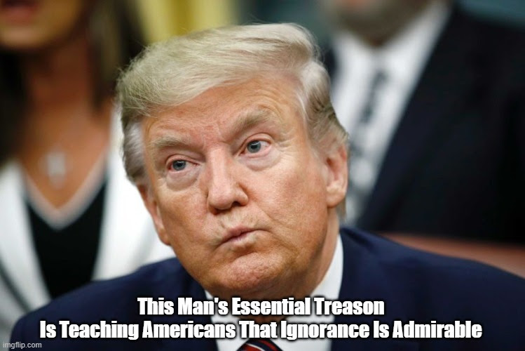 This Man's Essential Treason 
Is Teaching Americans That Ignorance Is Admirable | made w/ Imgflip meme maker