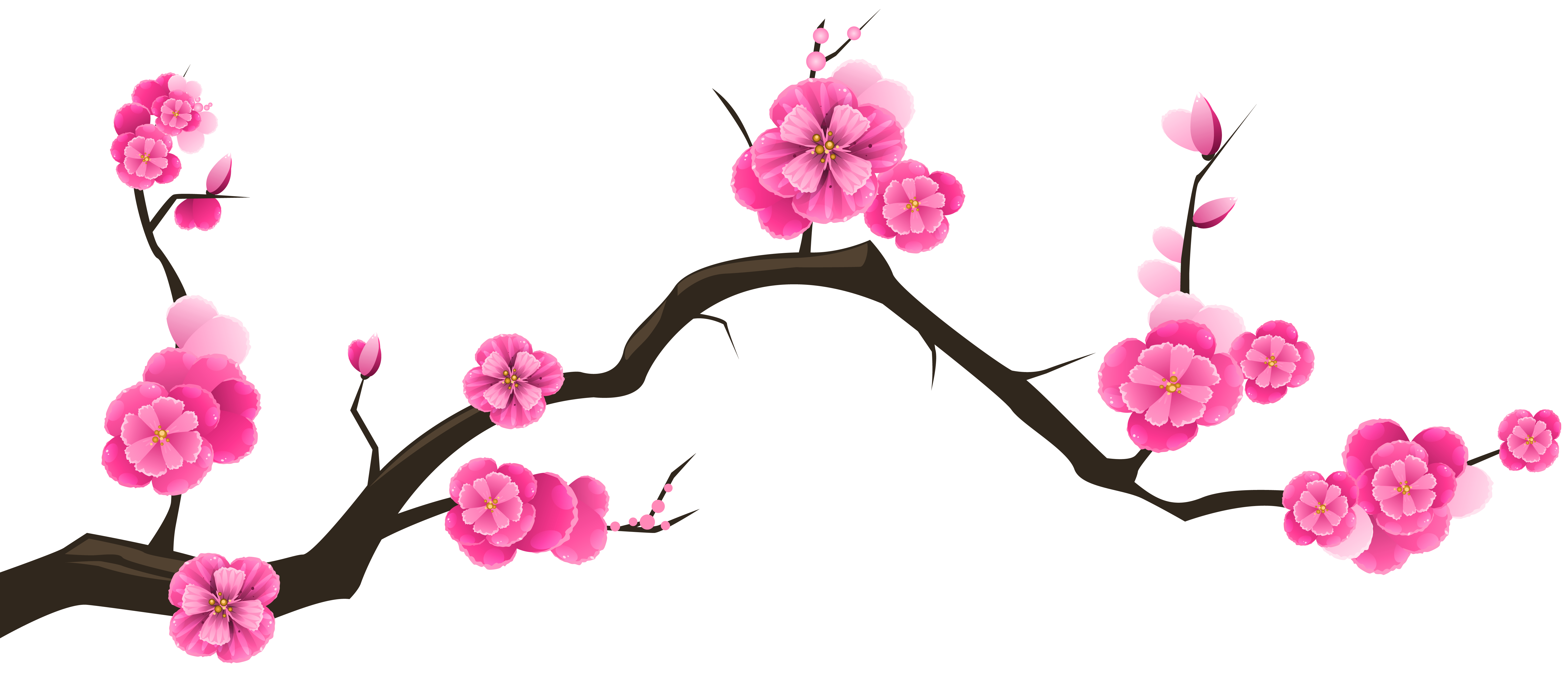 Terkeren 10+ Gambar Bunga Sakura Vector - Gambar Bunga HD