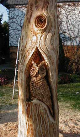 Die eulen (strigiformes) sind eine ordnung der vögel, zu der ungefähr 200 arten. Eulenbaum Eulen Im Baum Motorsage Holger Bar Kettensage Chainsaw Artist Carving Baerart Skulpturen Und Totems Art Kunst Sculptures Bildhauer Loghome