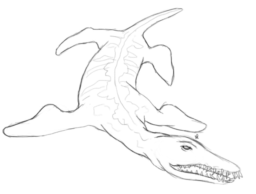 liopleurodon coloring pages  coloring pages kids 2019